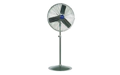 Pedestal Fan